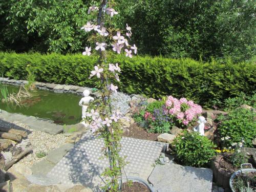 a plant with pink flowers in a garden at Ferienwohnungen Fuchshuber in Neukirchen vorm Wald