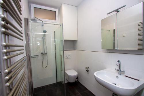 a bathroom with a shower and a sink and a toilet at Apartman Colosseum in Pula