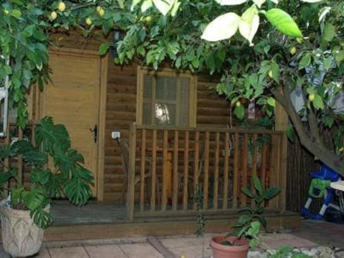 a wooden cabin with a door and a tree at Hadar Bakfar in Yesod Hamaala