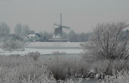 a snow covered field with a windmill in the background at Hotel van Dijk in Kampen