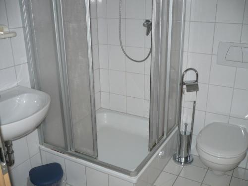 ein Bad mit einer Dusche, einem WC und einem Waschbecken in der Unterkunft Alt Weeze in Weeze