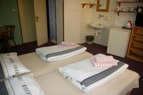 a room with two beds and a sink at Penzion Koudela in Česká Kamenice