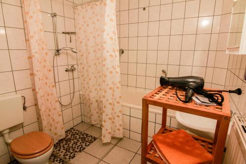 La salle de bains est pourvue d'une douche et d'un sèche-cheveux noir sur une table. dans l'établissement Ferienwohnung Schäfer, à Dehringhausen