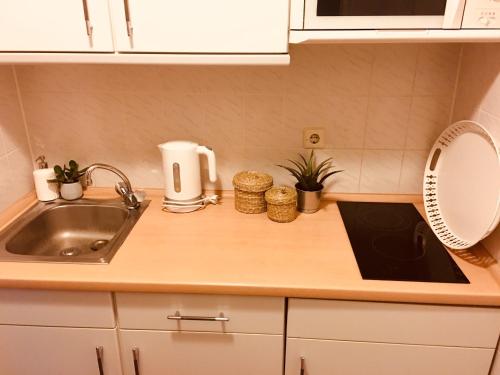 - un comptoir de cuisine avec évier dans l'établissement Ferienwohnung Ananda auf Fehmarn, à Fehmarn