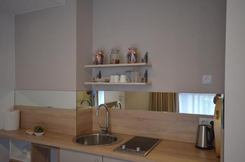 a kitchen with a sink and a counter with jars at Villa Aba apartments in Sarajevo
