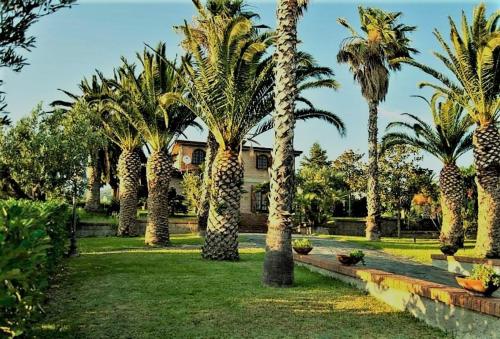 a row of palm trees in front of a house at Villa Amalia Srls in Gizzeria