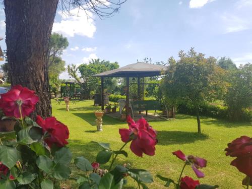 Gallery image of Camere Carloni in Assisi