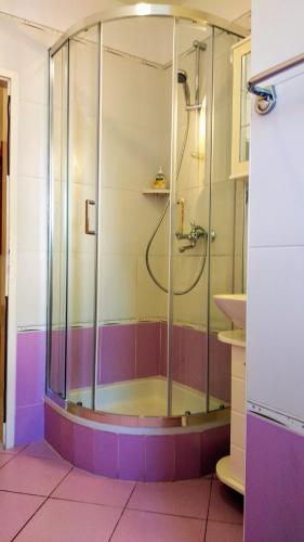 Apartments Desa Petric