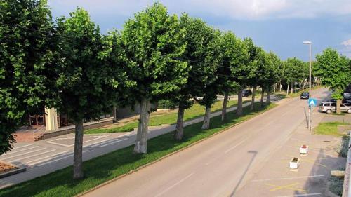 an overhead view of a street with a row of trees at Apartment Ruža in Kladovo