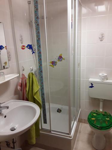 a bathroom with a shower and a sink and a toilet at Ferienwohnung Werner in Ostseebad Koserow