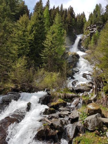 a waterfall on a river with trees in the background at Pension Fürhapter mit Bio- Bauernhof in Sankt Jakob in Defereggen