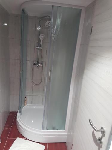 a shower with a glass door in a bathroom at Apartments Fazarinc with parking, wellness and city store in the center of Celje in Celje