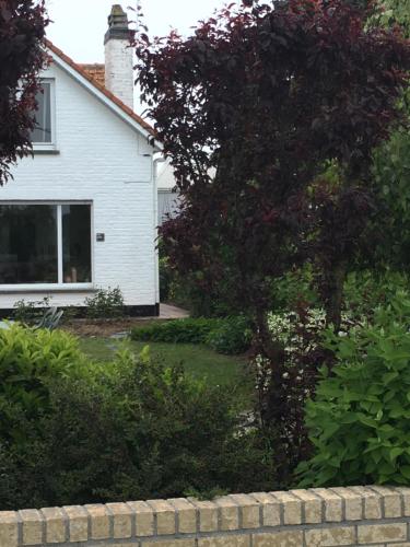 a white house with a tree in the yard at Maison du golf in Nieuwpoort