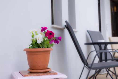Φωτογραφία από το άλμπουμ του Stellar Apartments II στον Πλατανιά