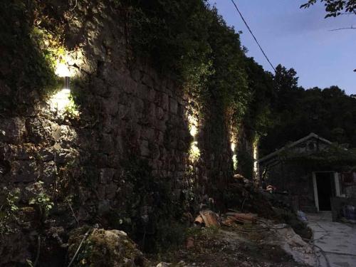 a stone wall with ivy on the side of it at centuries old Ethno House Đurović in Virpazar