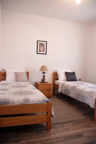 a bedroom with two beds and a lamp on a table at Villa Isabella in Sevid