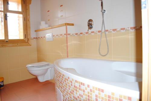 a bathroom with a bath tub and a toilet at Roubenka-Mila in Ostružná