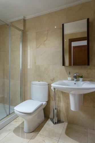 a bathroom with a toilet and a sink and a shower at Alojamiento Santa Maria in Milladoiro