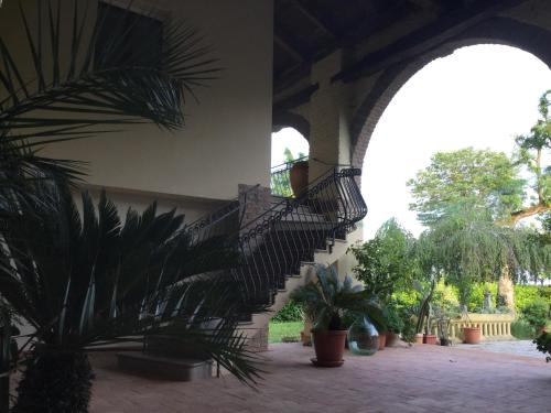 un escalier dans un bâtiment avec des plantes en pot dans l'établissement Domus Rosarum, à Arquà Petrarca