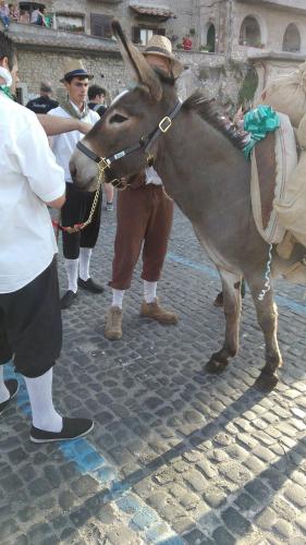 a man is standing next to a donkey at Bed & Breakfast Valeri in Artena