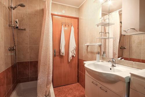 a bathroom with a shower and a sink and a tub at Apartment Medeni in Rakovica