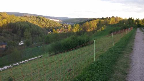 a fence on the side of a road next to a field at Ferienwohnung Weiß in Aue