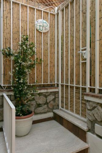 a greenhouse with a tree in a pot and a clock at Casa Pamela in Capri