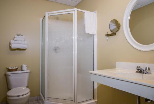 a bathroom with a shower and a toilet and a sink at Shallow Bay Motel & Cabins Conference Centre in Cow Head