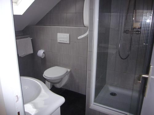 a bathroom with a shower and a toilet and a sink at Aux Studios du Parc in Plombières-les-Bains