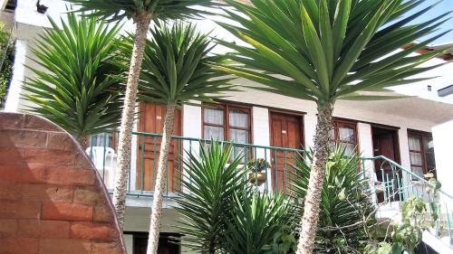 a large tree in front of a house at Hostal L'Auberge Inn in Quito