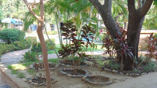a garden with a bunch of trees and plants at Hotel Quinta Minera in Cosalá