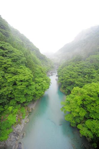 旅館の近くで見られる自然の景観