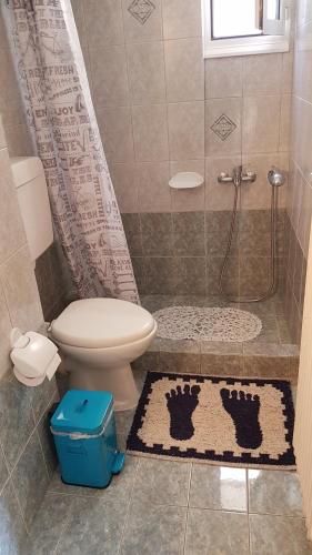 邁索隆吉的住宿－Cozy Loft，一间带卫生间和淋浴的浴室