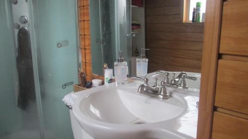 - Baño con lavabo blanco y ducha en Hospedaje Los Copihues de Valle Volcanes, en Puerto Montt