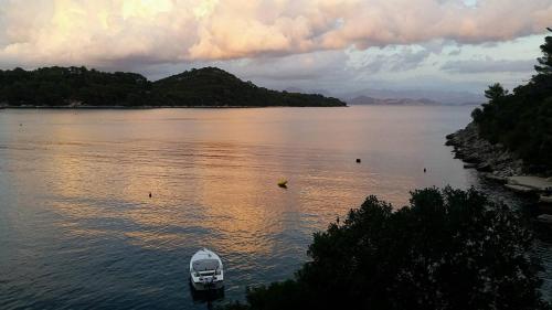 a boat in the middle of a large body of water at Mljet 4You - Beach House in Sobra