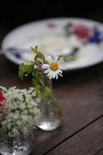 a vase with flowers in it on a table at Pension Schallergut in Krakauebene