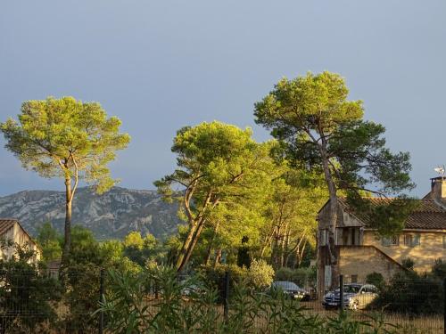 a house and trees with a mountain in the background at La Coudoulière in Saint-Rémy-de-Provence