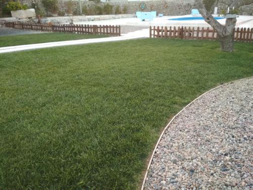 a grassy yard with a tree and a fence at Pátio do Judeu in Valverde