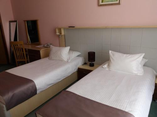 two beds sitting next to each other in a room at Hotel & Restaurant Great Wall - Airport in Sarajevo