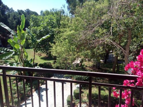 Φωτογραφία από το άλμπουμ του Hotel Dougas στο Αρκούδι