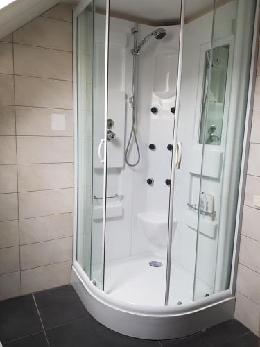 een badkamer met een douche en een wastafel bij De Boerebeemd in Lieshout