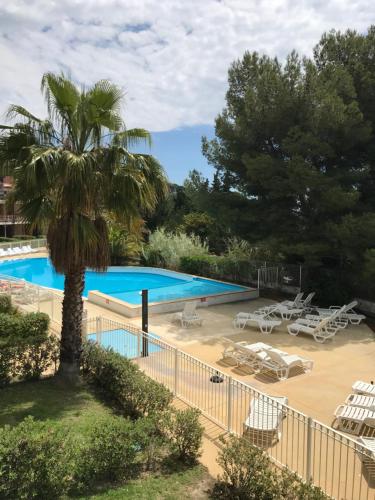 - une vue sur la piscine bordée d'un palmier dans l'établissement Appart les terrasses du Liouquet, à La Ciotat