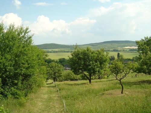 a view of a field with trees on a hill at Ferien im Naturschutzgebiet in Kékkút