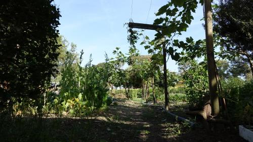 a garden with a bunch of trees in a field at Casa Vacanze Feudi 1165 in Borgo Vodice