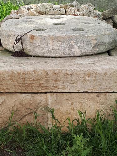 Φωτογραφία από το άλμπουμ του Masseria Cassiere σε Mottola
