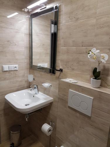 a bathroom with a sink and a mirror at Wellness Apartmány EMPORIO in Loštice