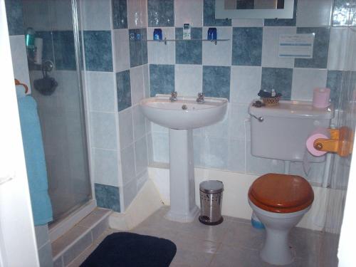 a bathroom with a toilet and a sink and a shower at Château Ardilleux in Ardilleux