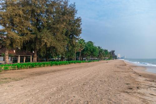 a dirt road with trees on the side of a beach at Sandy Beach Condo 17D in Cha Am