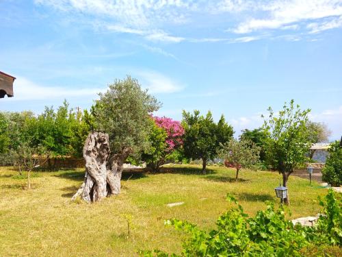 Giardino di Zephyros Hotel