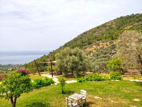 Paesaggio naturale nelle vicinanze dell'hotel
